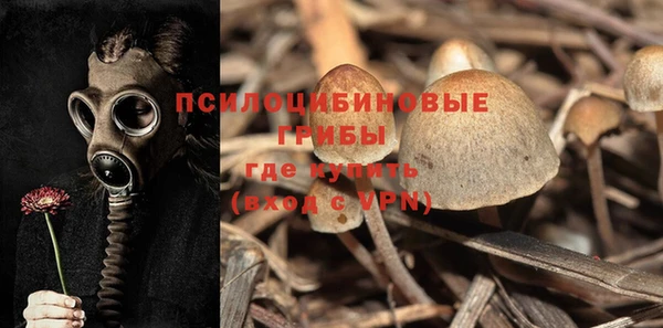 ALPHA PVP Баксан