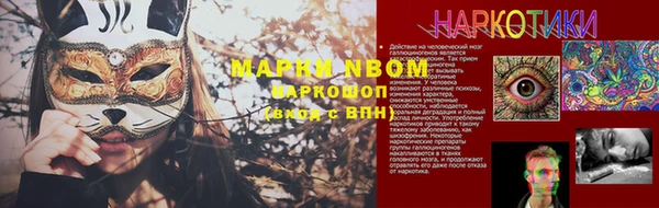 эйфоретик Няндома