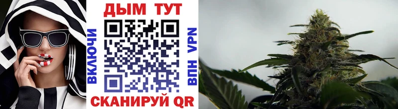 купить наркотики сайты  Суворов  Каннабис тримм 
